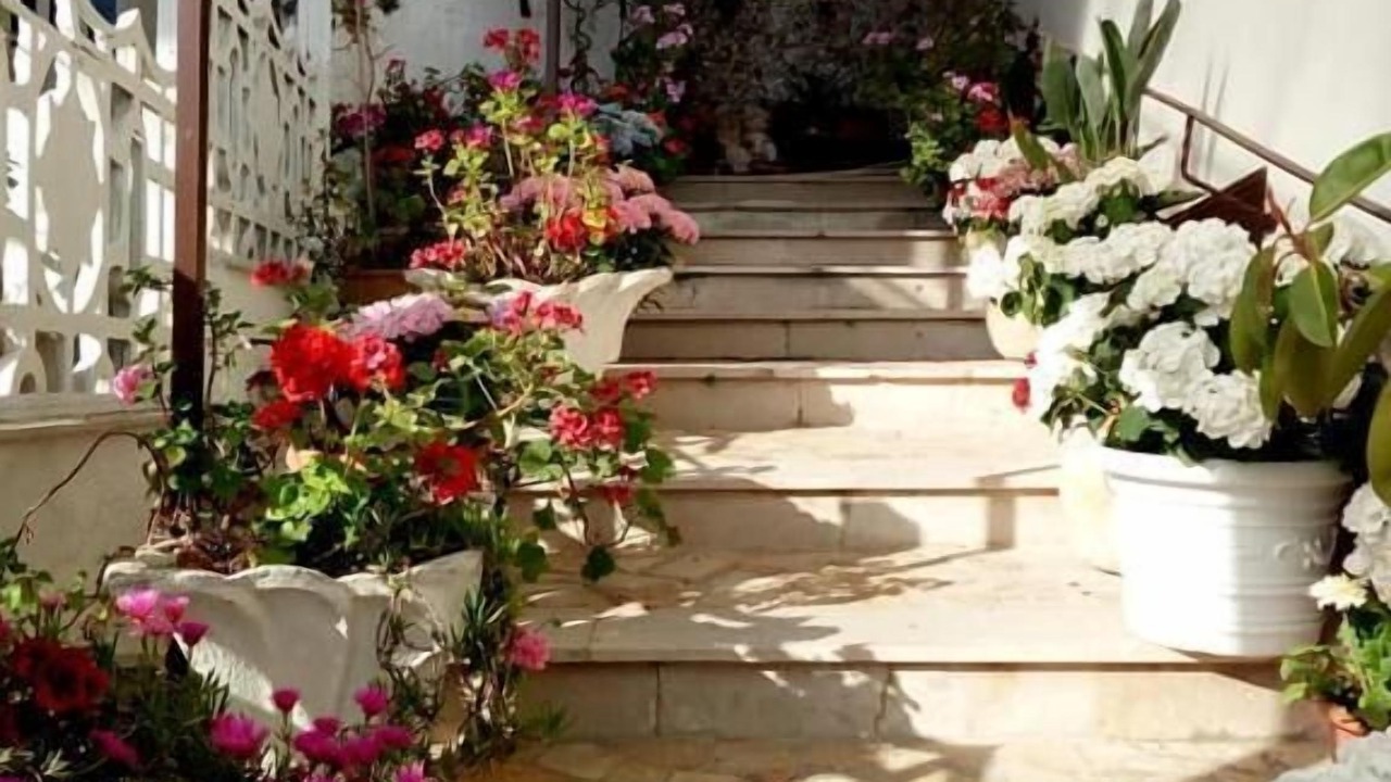 Photo of Outdoor in Rodi Garganico