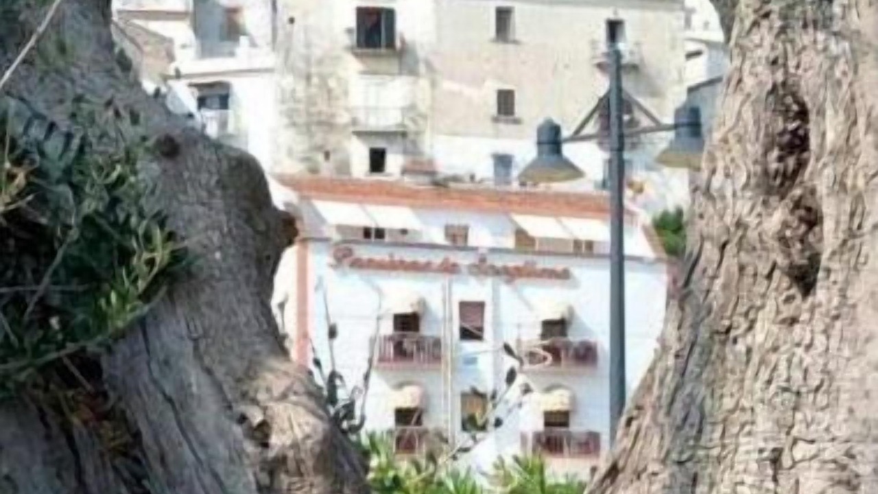 Photo of Others in Rodi Garganico