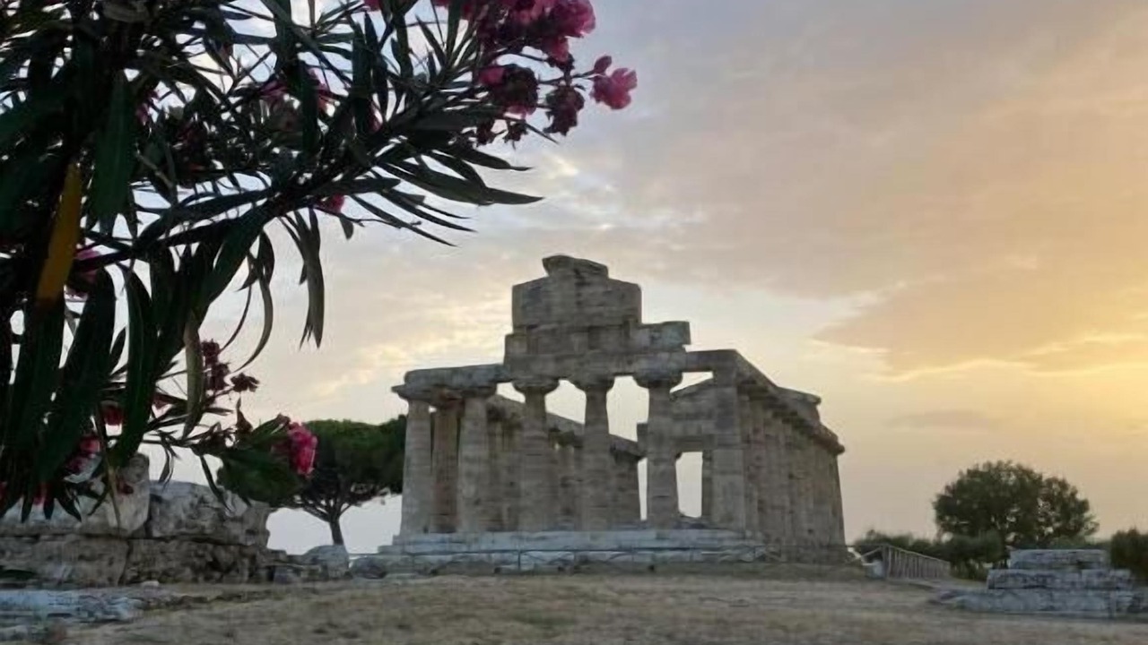 Photo of Others in Paestum