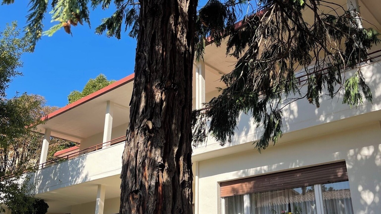 Photo of Outdoor in Ponte San Giovanni