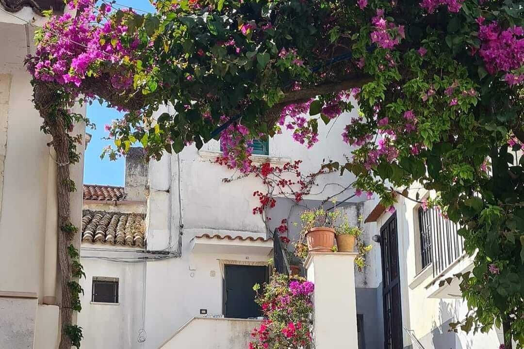 Photo of Outdoor in Rodi Garganico