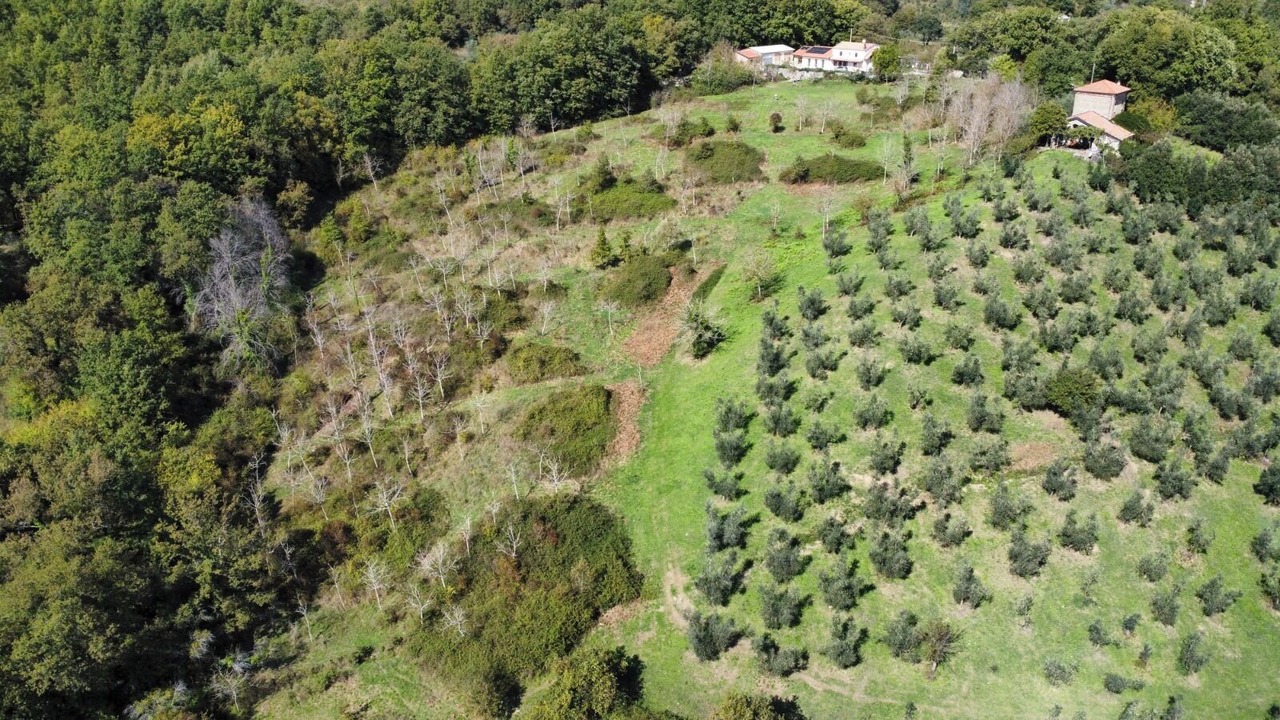 Photo of Outdoor in Stio