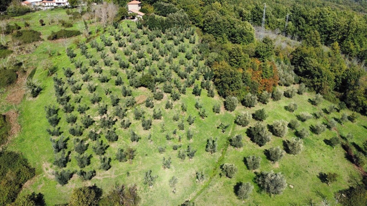 Photo of Outdoor in Stio