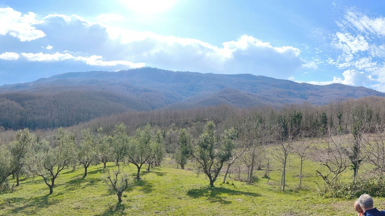 Photo of Outdoor in Stio
