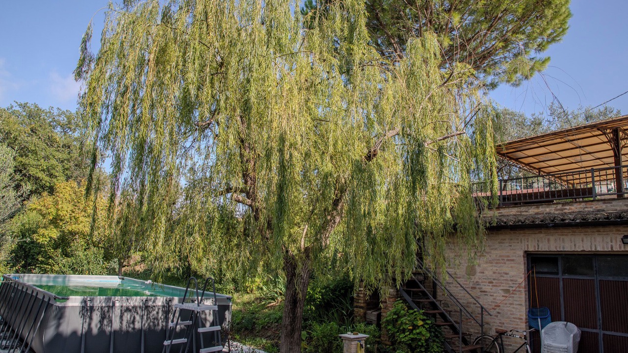 Photo of Outdoor in Mondavio