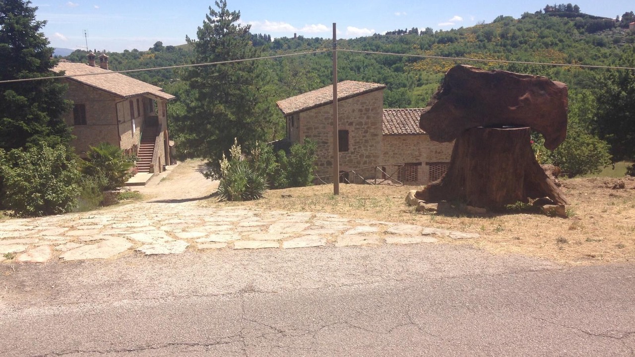 Photo of Outdoor in Montelaguardia