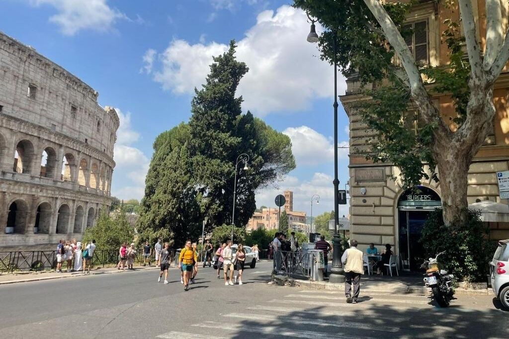 Photo of Others in Monti
