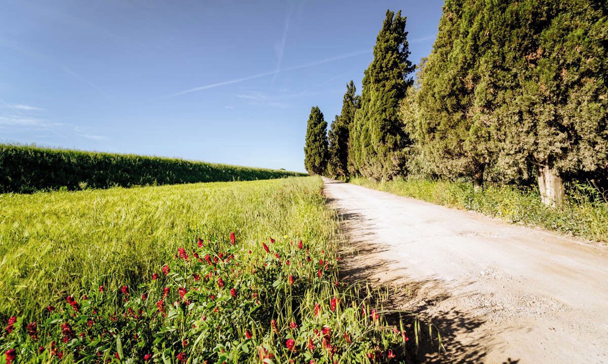 Photo of Outdoor in Grosseto