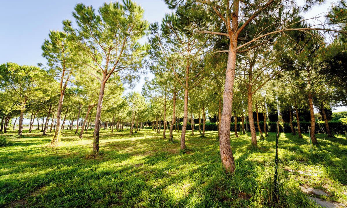 Photo of Outdoor in Grosseto