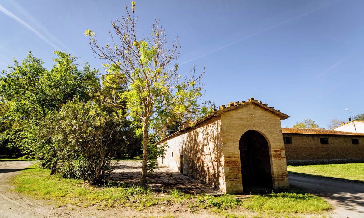 Photo of Outdoor in Grosseto