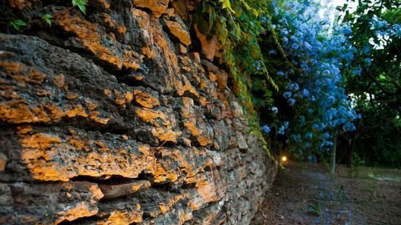 Photo of Outdoor in Agropoli