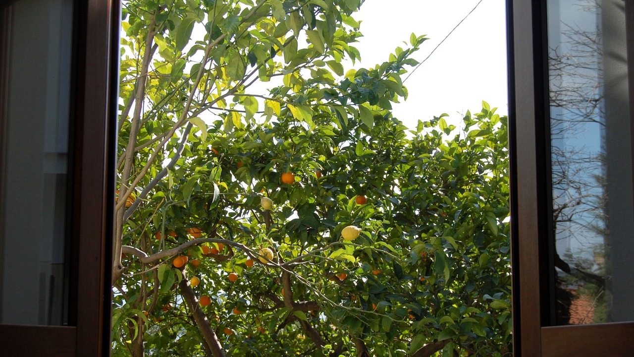Photo of Outdoor in Agropoli