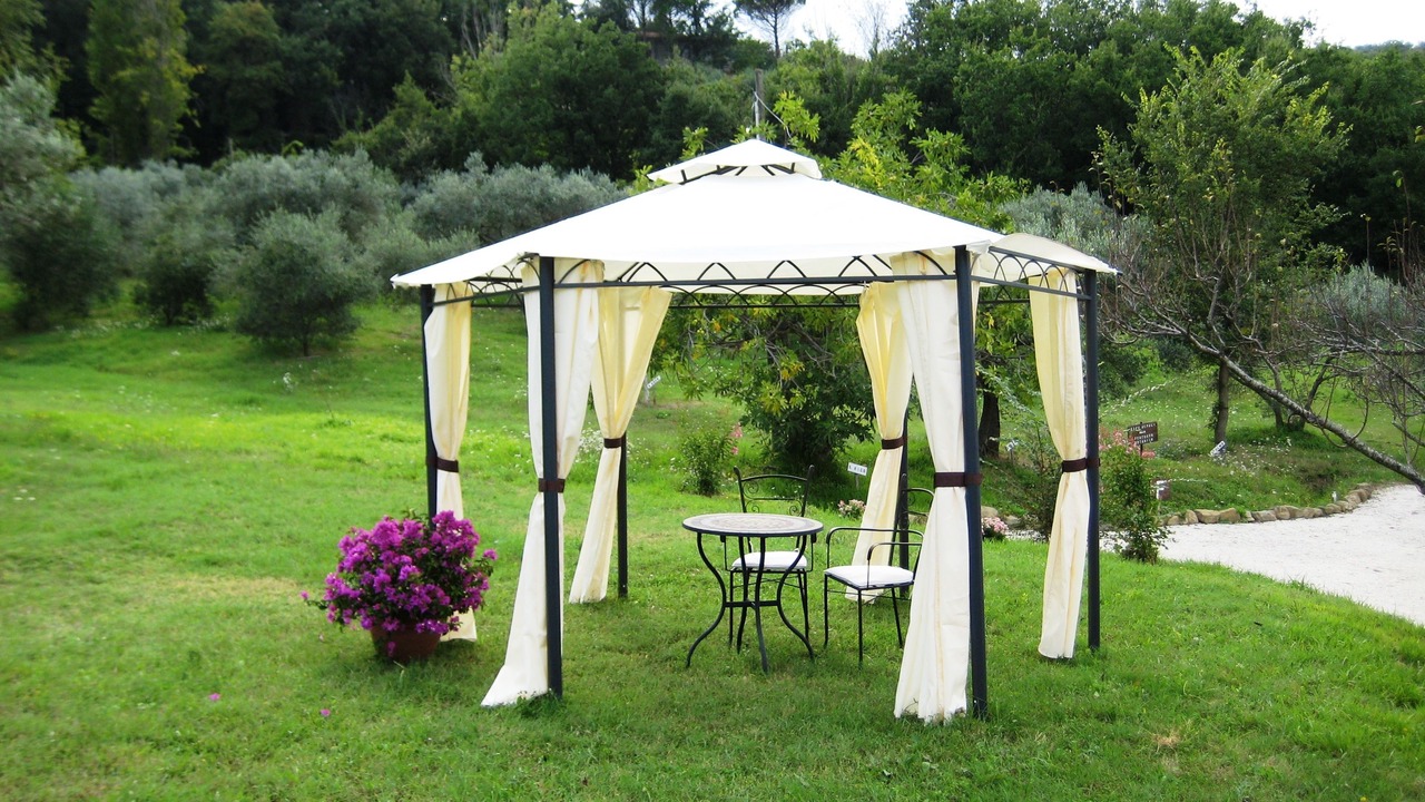 Photo of Outdoor in Cannara