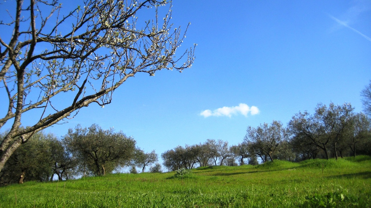 Photo of Outdoor in Cannara