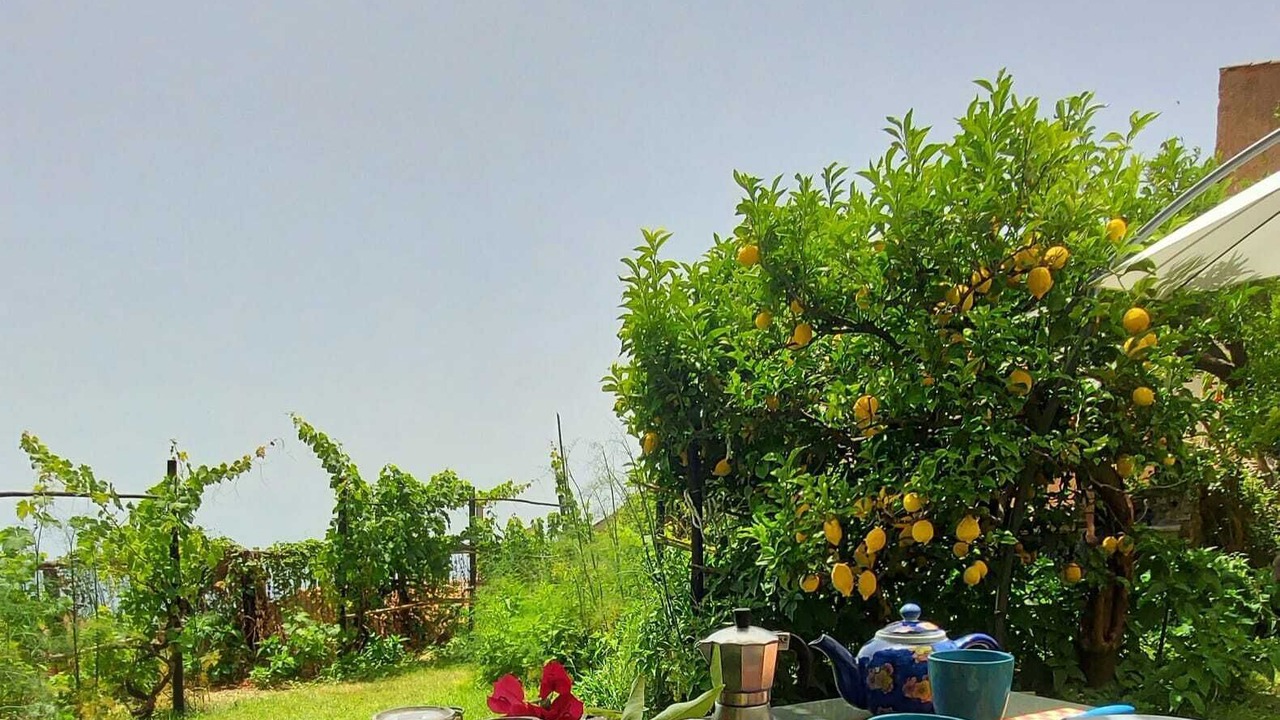 Photo of Outdoor in Marina Lido