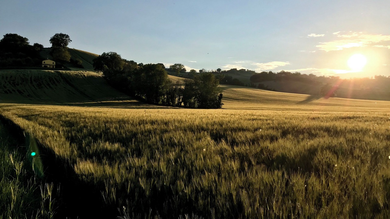 Photo of Outdoor in Bettolelle