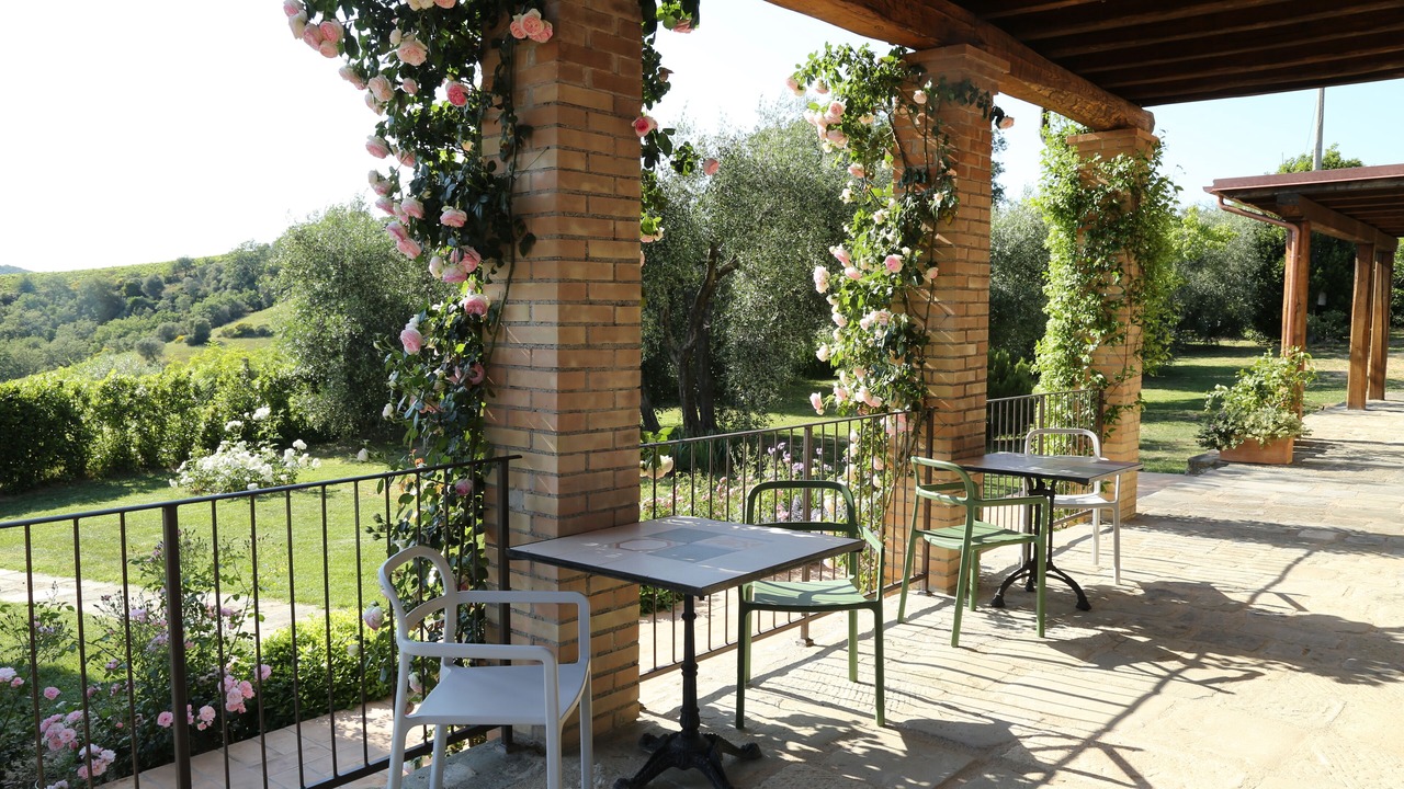Photo of Patio Balcony in Magliano in Toscana