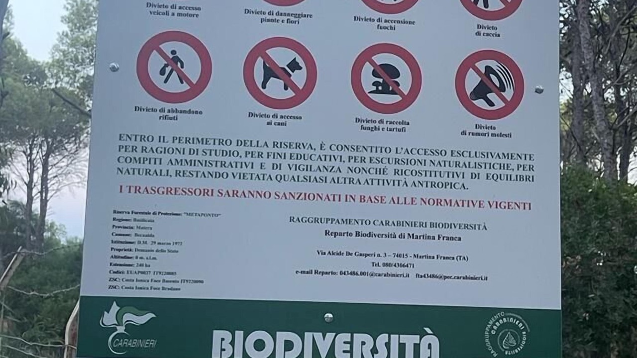Photo of Outdoor in Bernalda
