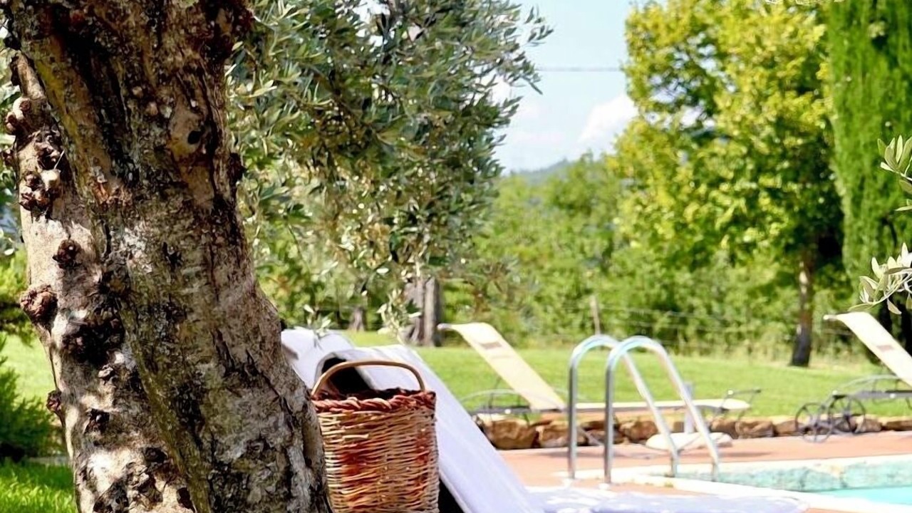 Photo of Outdoor in Monte San Savino