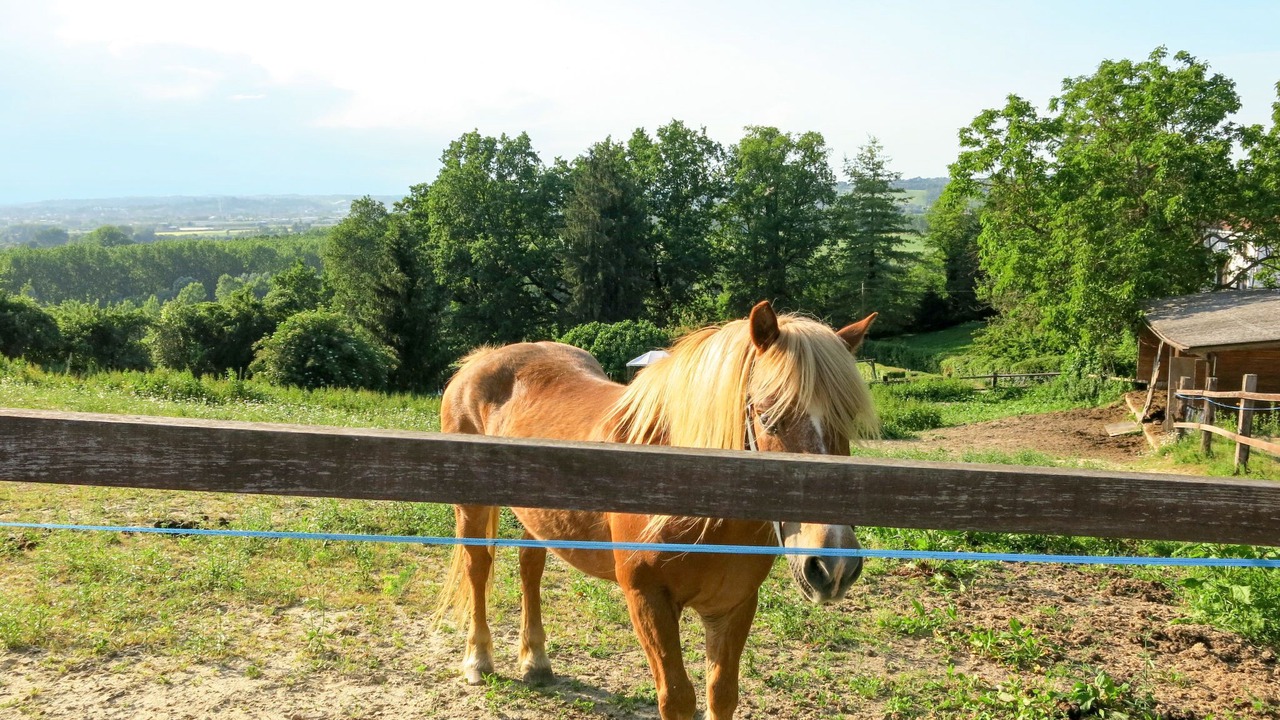 Photo of Outdoor in Azzano d'Asti