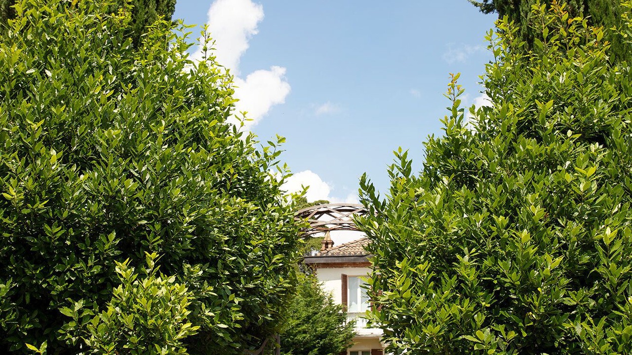 Photo of Outdoor in Vignale Monferrato