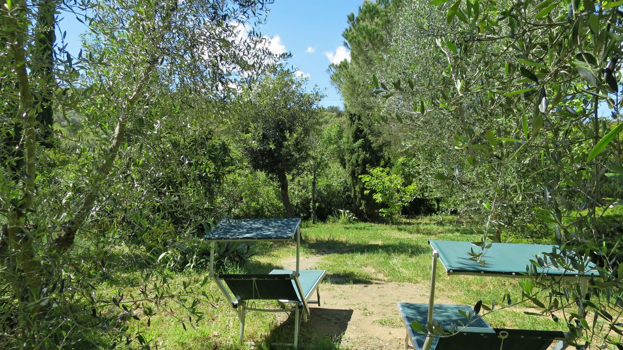Photo of Outdoor in Grosseto