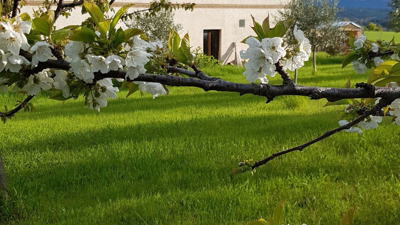 Photo of Outdoor in Castel Colonna