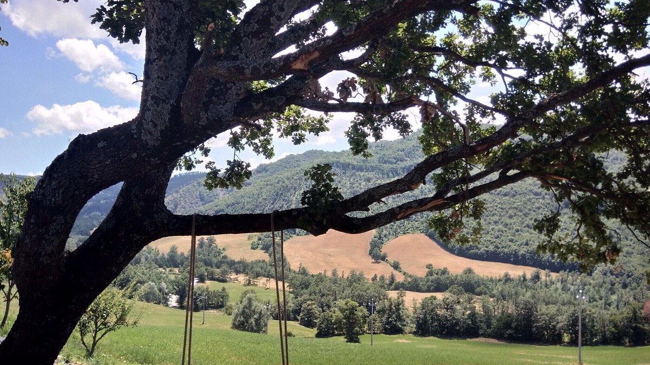Photo of Others in Pennabilli