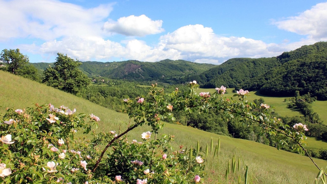 Photo of Others in Pennabilli