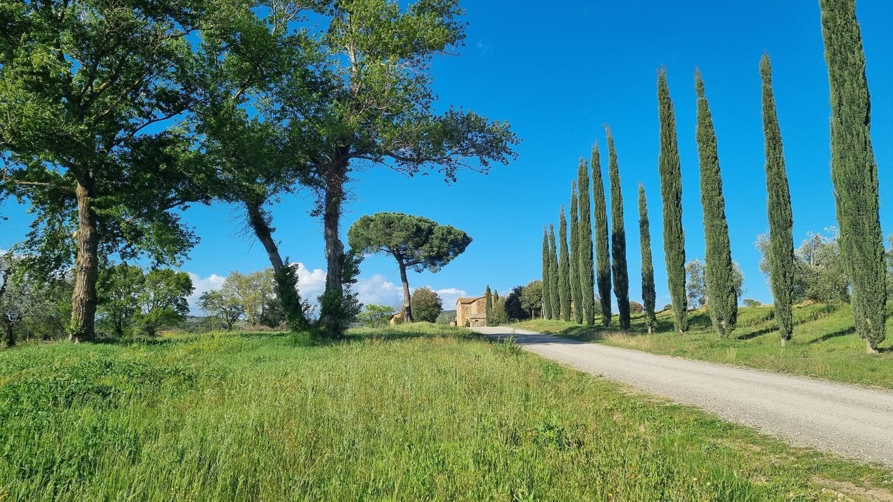 Photo of Others in Montalcino