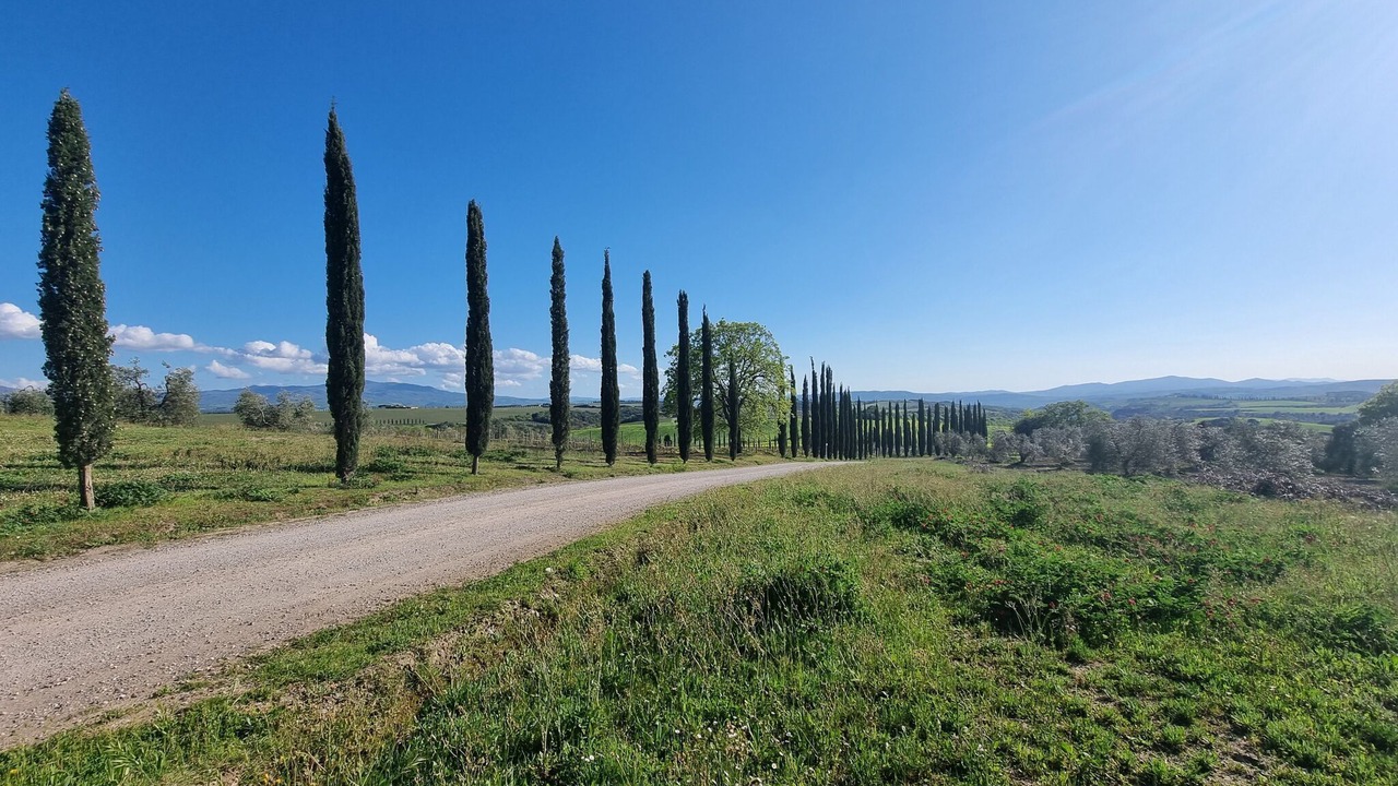 Photo of Others in Montalcino