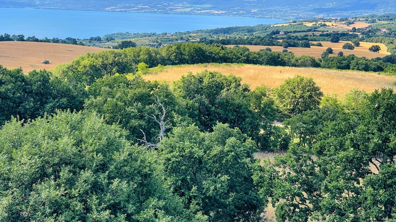 Photo of Outdoor in Montefiascone