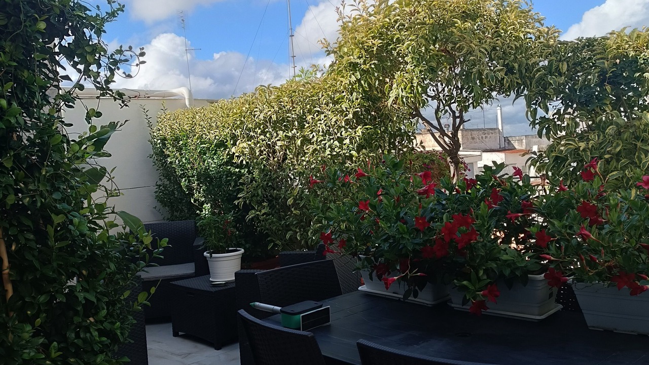 Photo of Patio Balcony in Andria