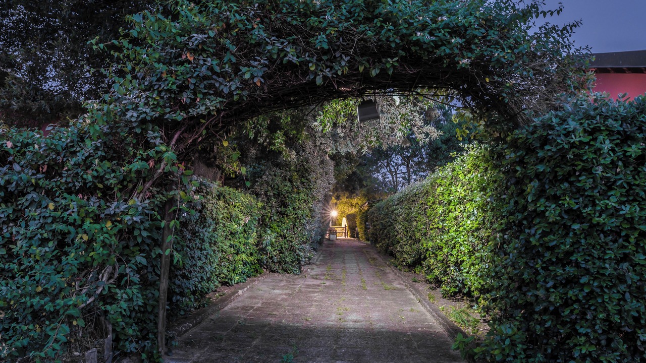 Photo of Outdoor in Grosseto