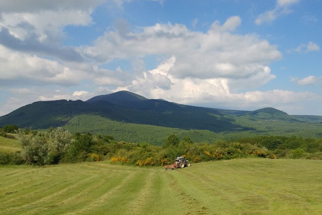 Photo of Others in Roccalbegna