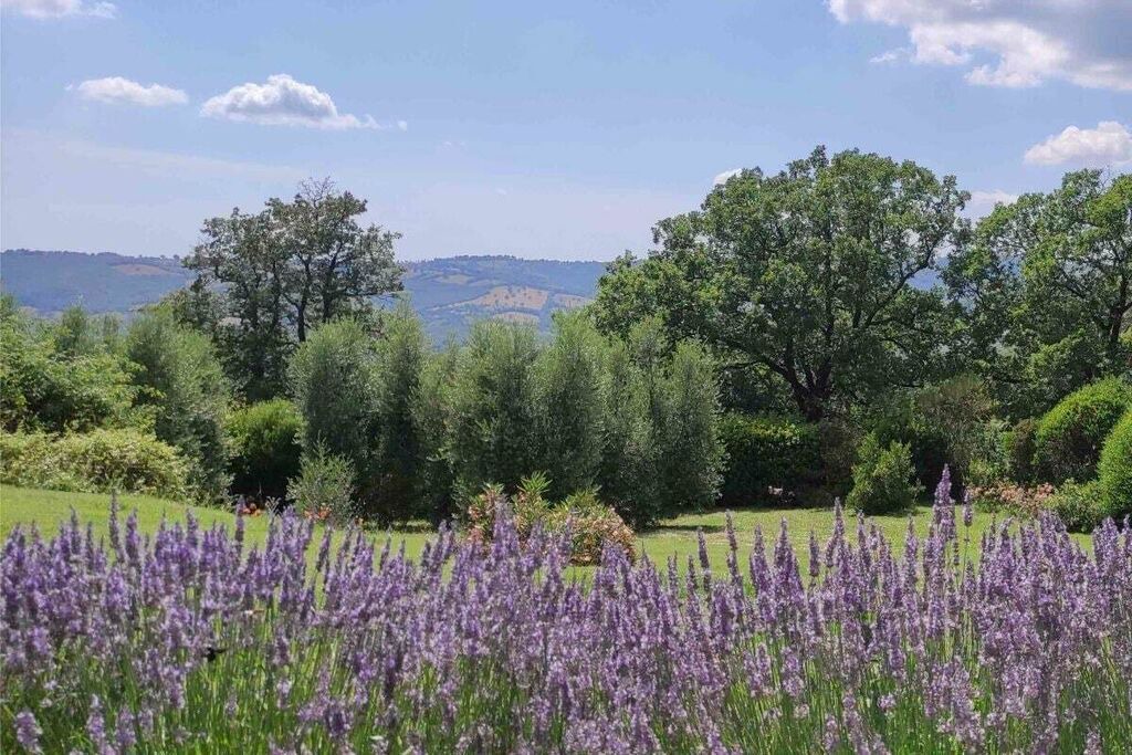 Photo of Outdoor in Roccalbegna