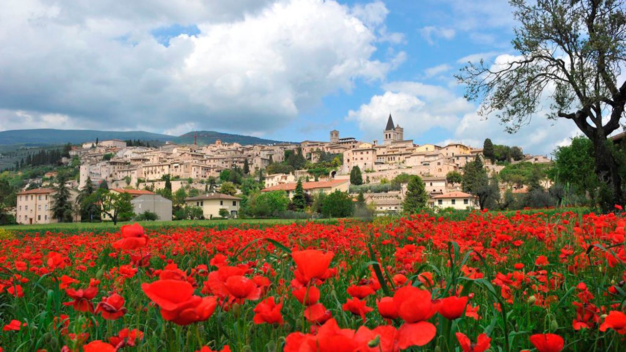 Photo of Others in Spello
