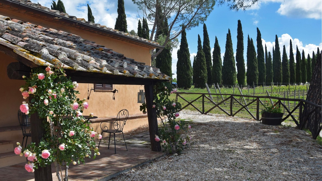 Photo of Outdoor in Casole d'Elsa