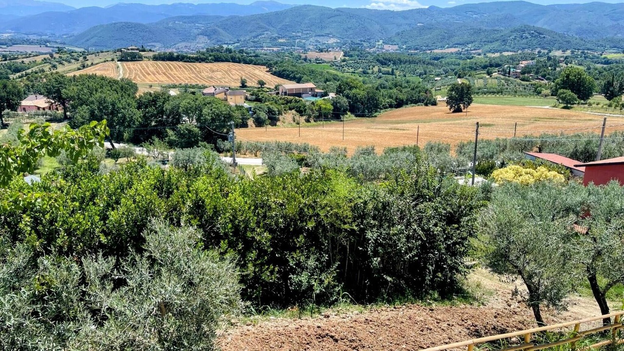 Photo of Others in Ocenelli