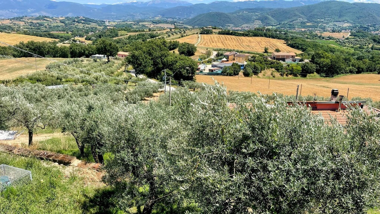Photo of Others in Ocenelli