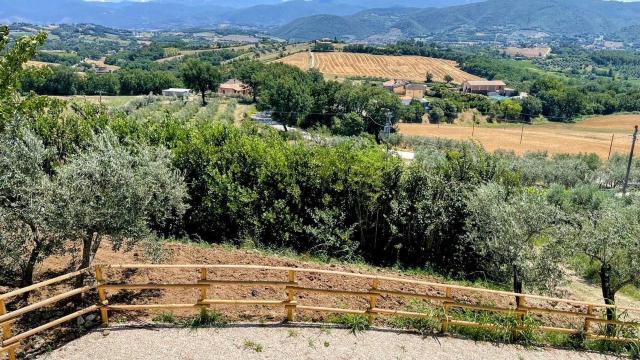 Photo of Outdoor in Ocenelli