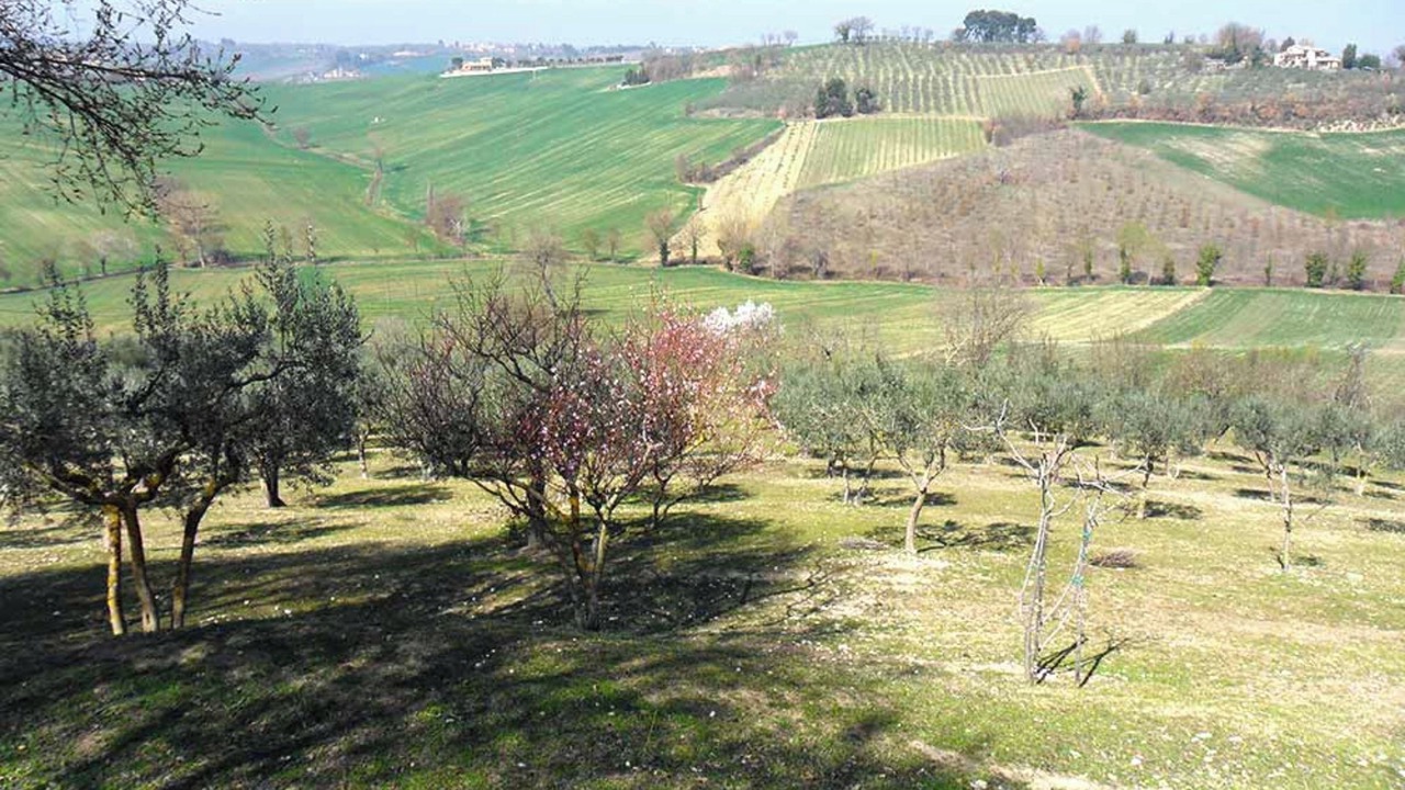 Photo of Others in San Brizio