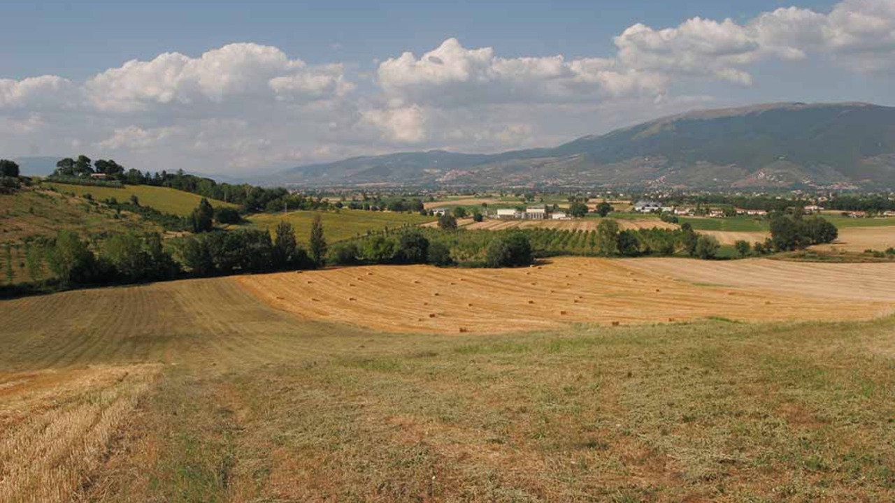 Photo of Others in San Brizio