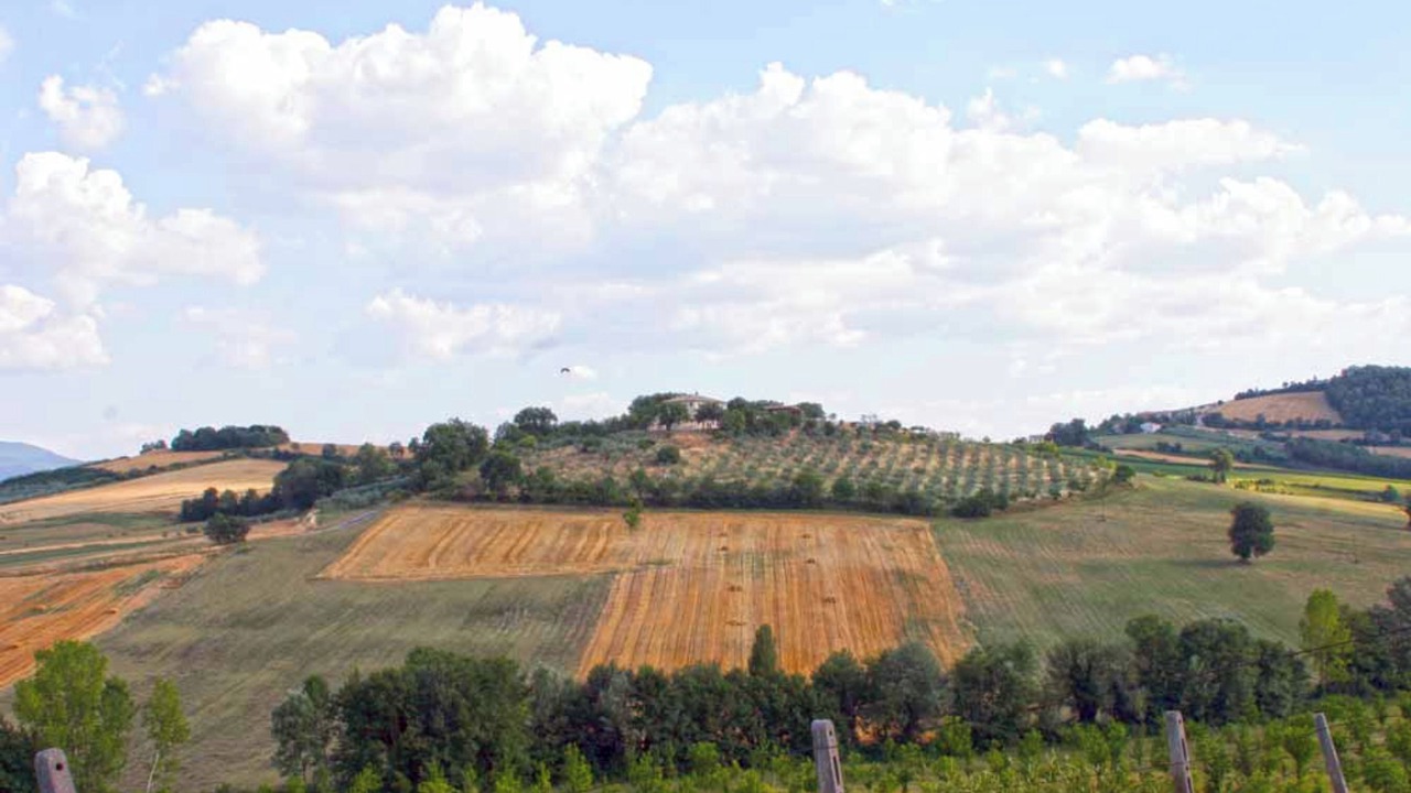 Photo of Others in San Brizio