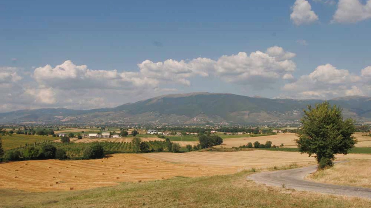 Photo of Others in San Brizio
