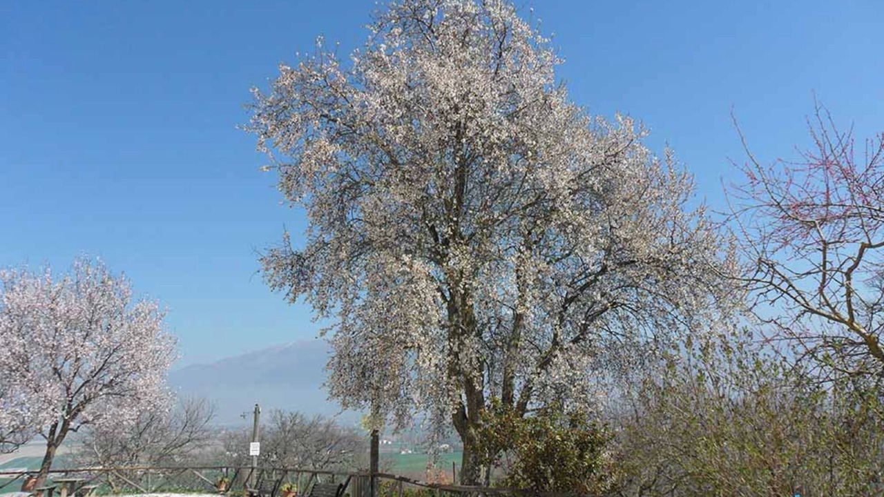 Photo of Outdoor in San Brizio