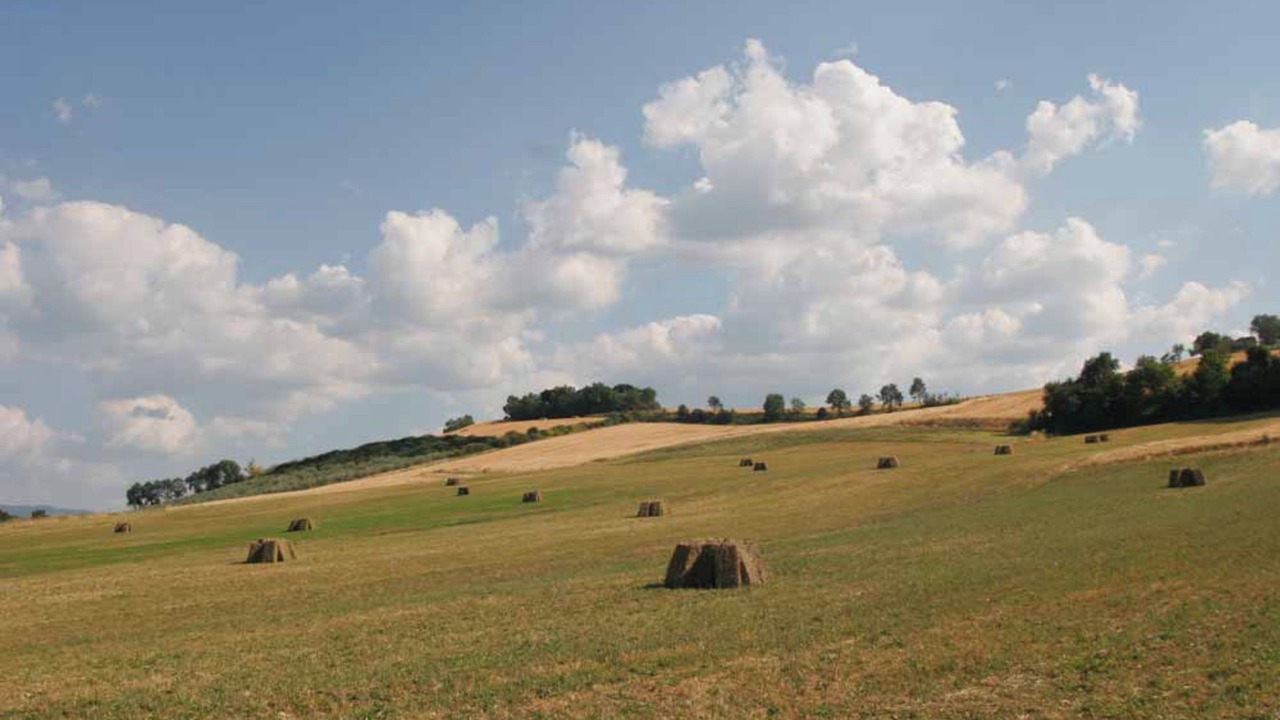 Photo of Others in San Brizio