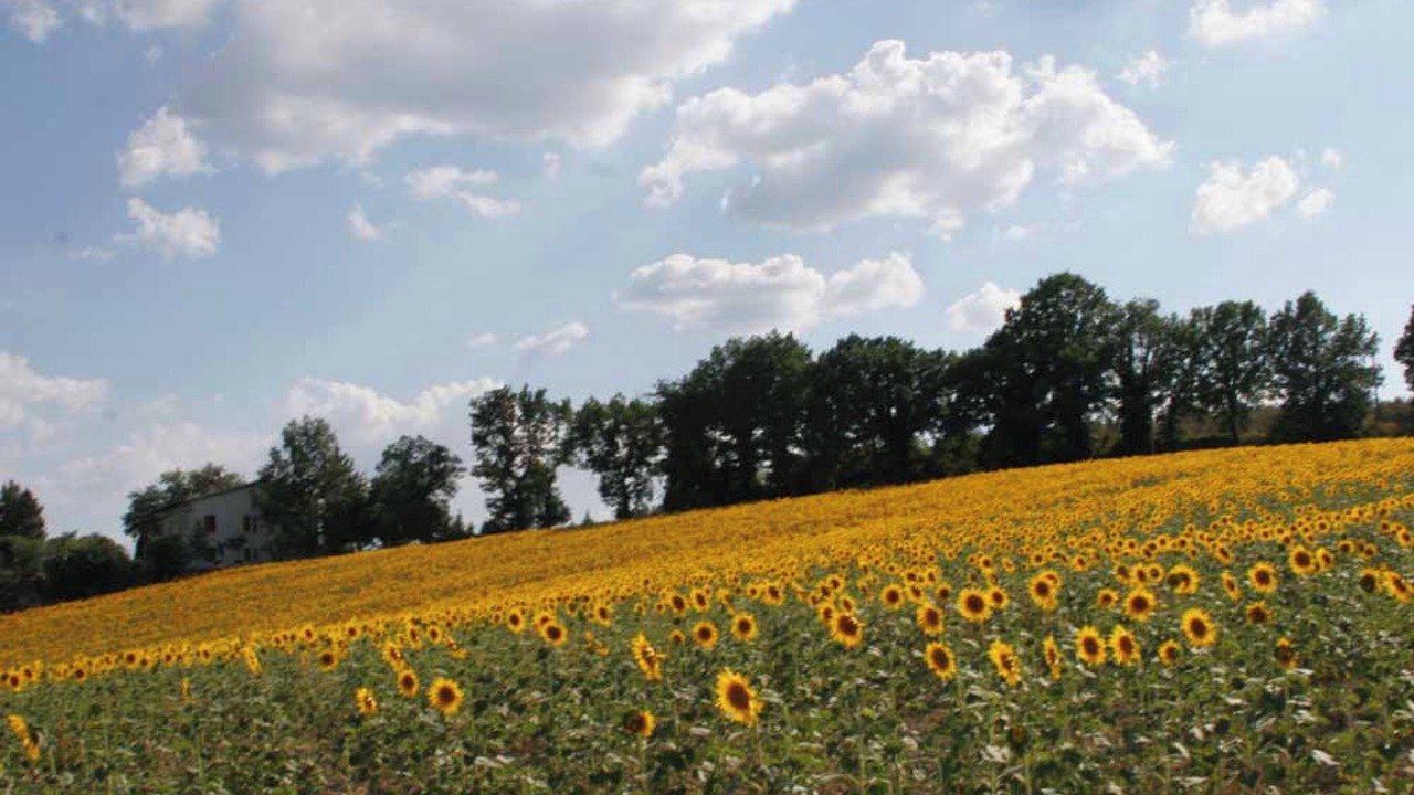 Photo of Outdoor in San Brizio