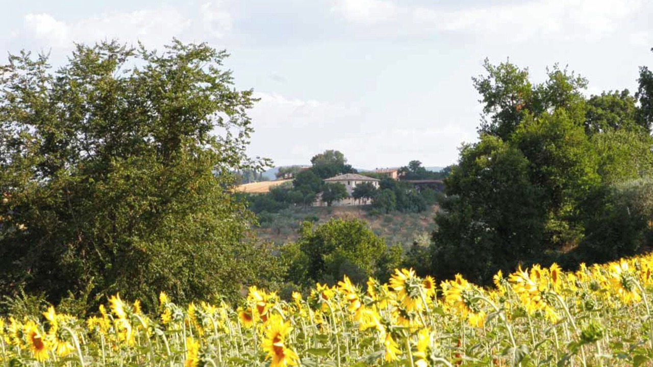 Photo of Outdoor in San Brizio