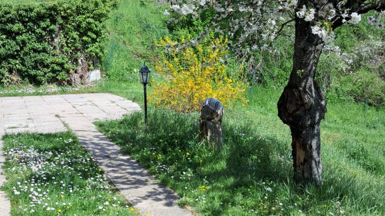 Photo of Outdoor in Apecchio